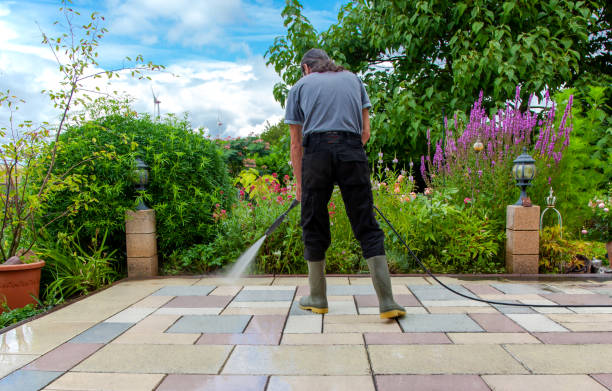 Best Roof Cleaning and Mildew Removal in Jerome, IL
